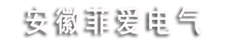 安徽菲愛電氣有限公司